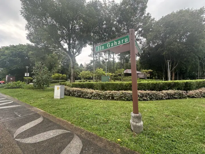 A small dog walking on the shaded pathway of Mayfair Park on Jalan Gaharu, King Albert Park, Singapore, with mature trees overhead and a quiet residential street visible.