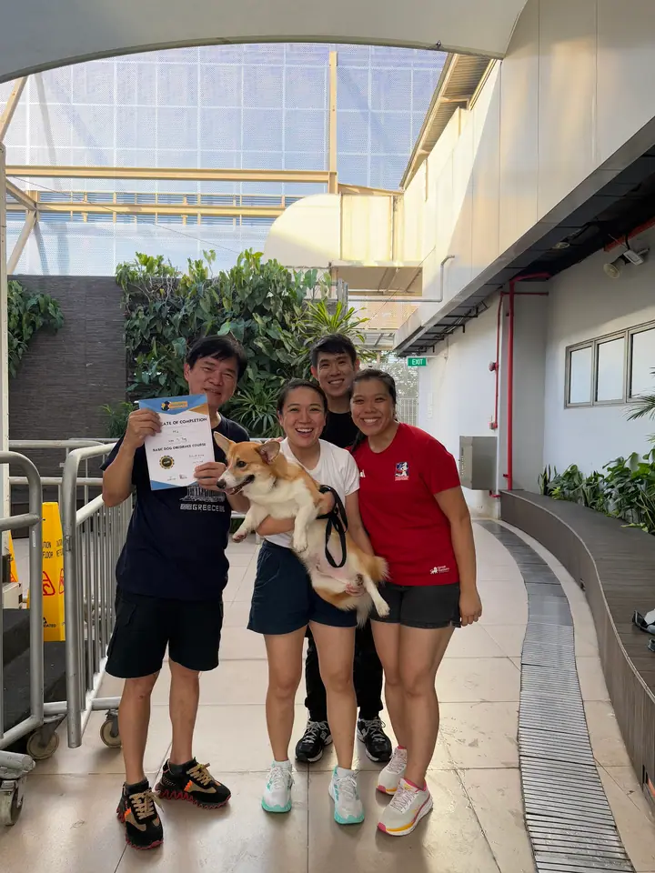 Four people pose together on a walkway; one holds a corgi and another holds a certificate.