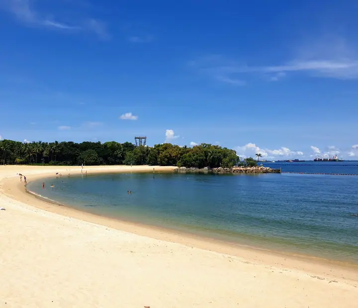 A dog at Palawan Beach in Singapore.