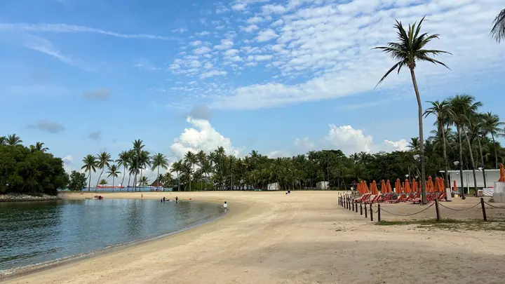 A dog at Tanjong Beach in Singapore.