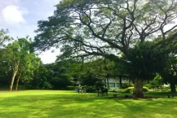 HortPark, Park in Alexandra / Bukit Merah