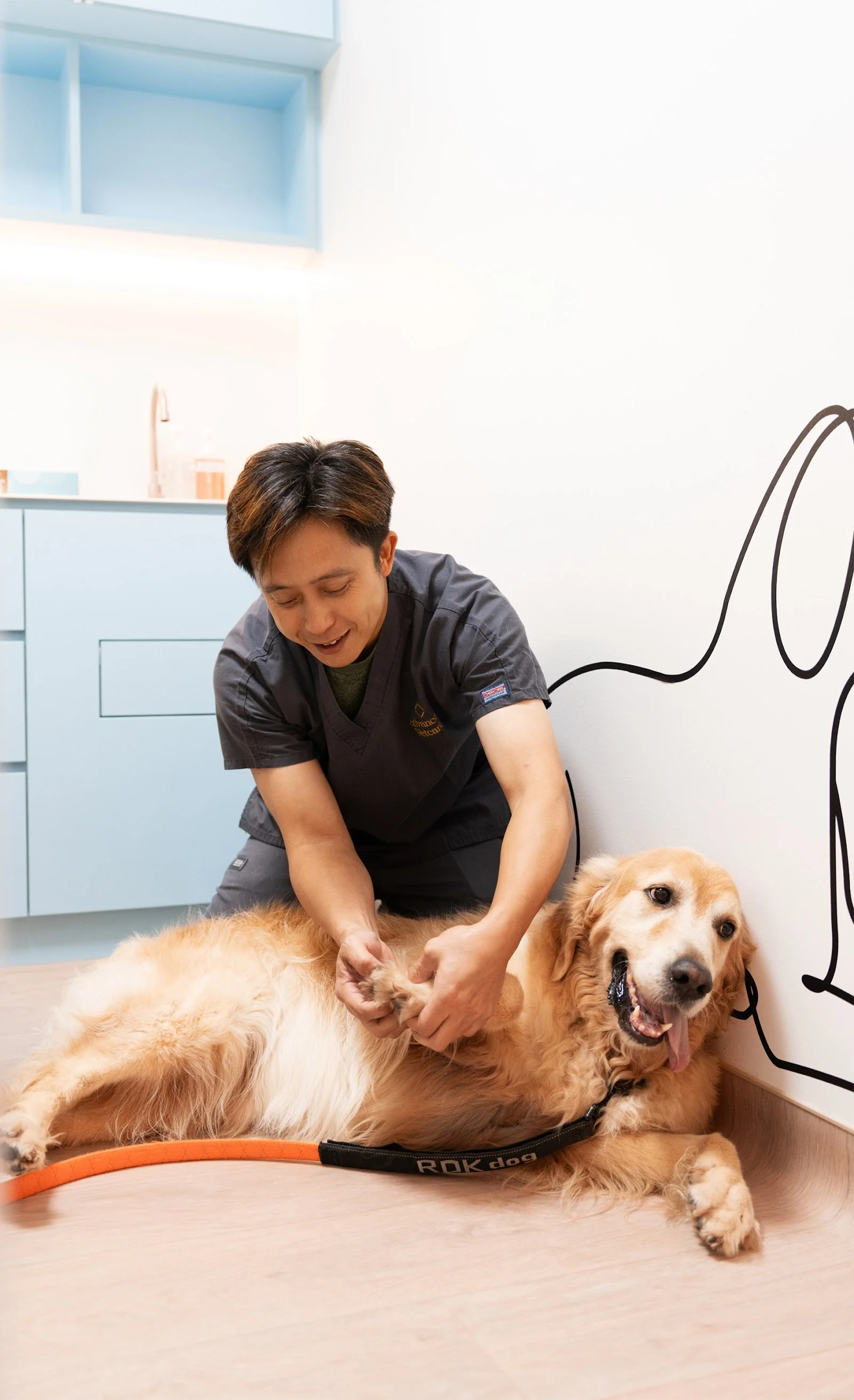 Exterior of Advanced Vetcare Veterinary Centre (Outram) in Outram.