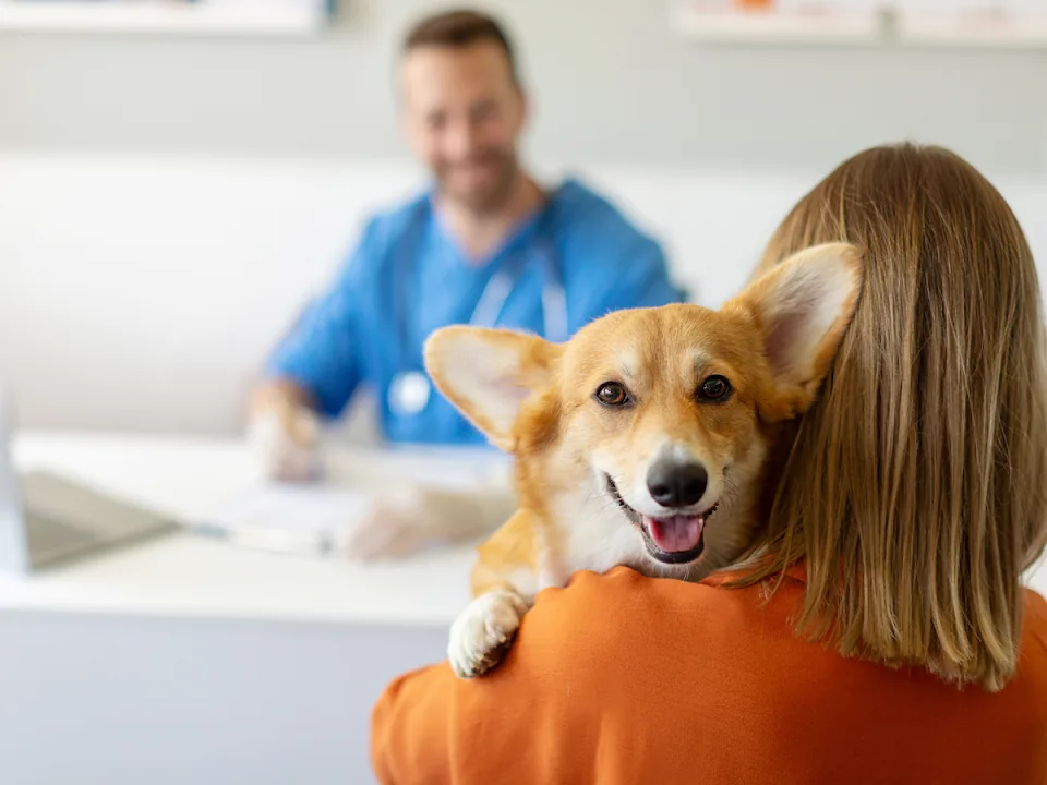 Amber Vet clinic exterior