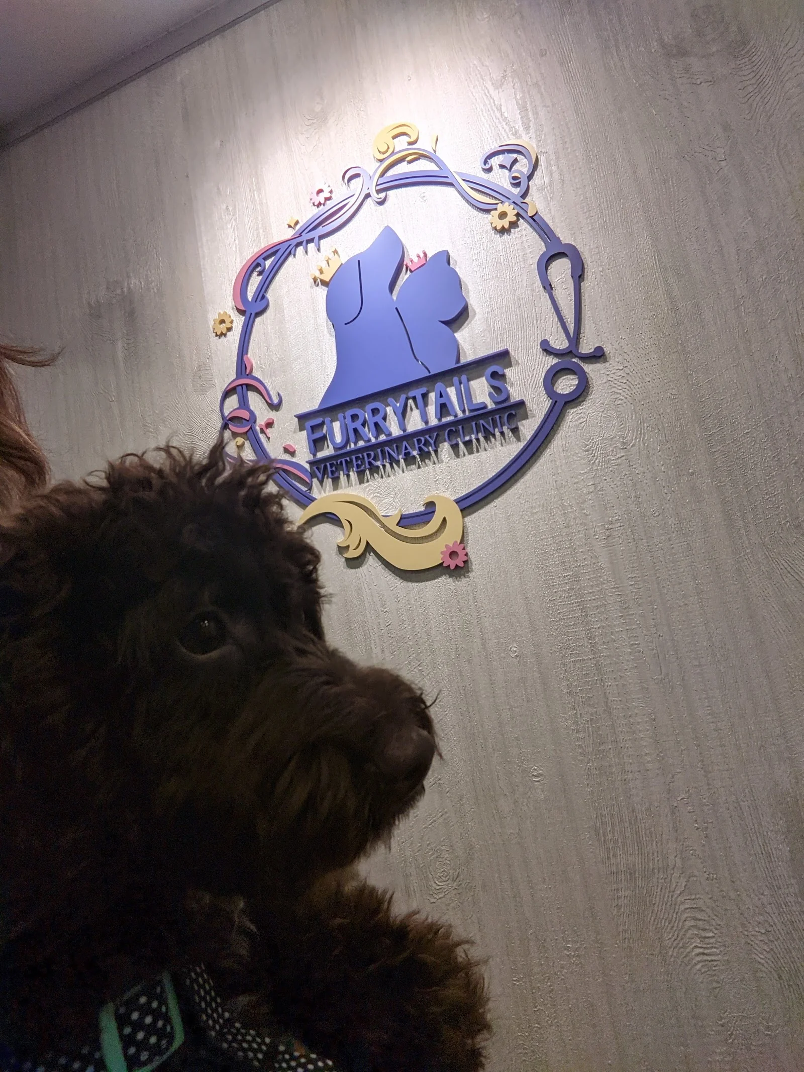 Exterior of Furrytails Veterinary Clinic in Serangoon (Kensington).