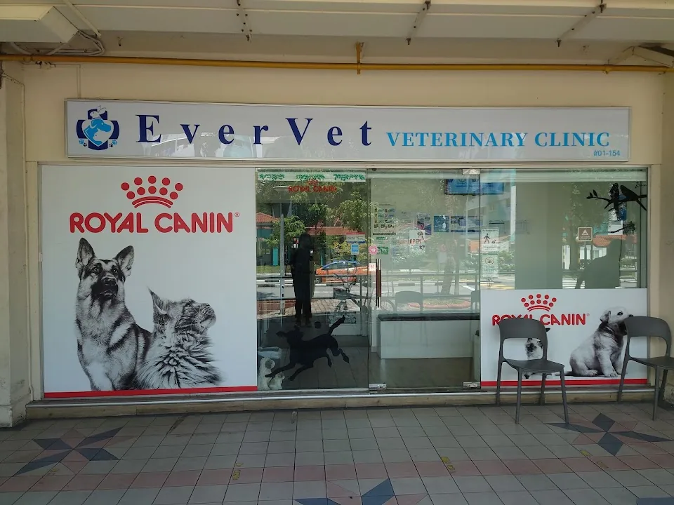 Island Veterinary Clinic (Bedok) clinic exterior