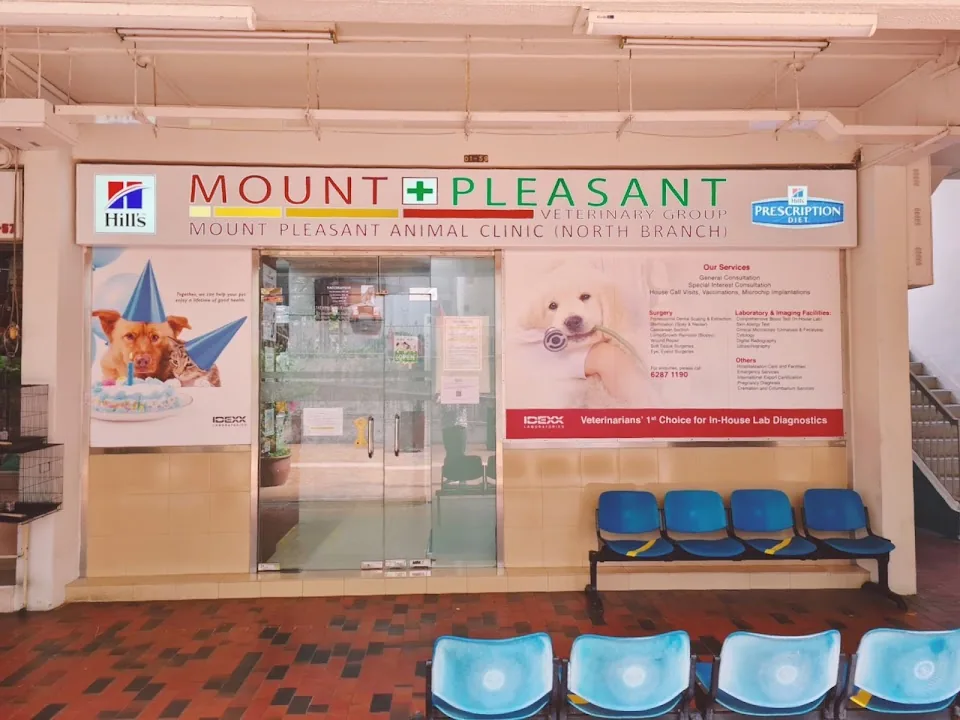 Mount Pleasant Animal Clinic (North) - Serangoon North clinic exterior